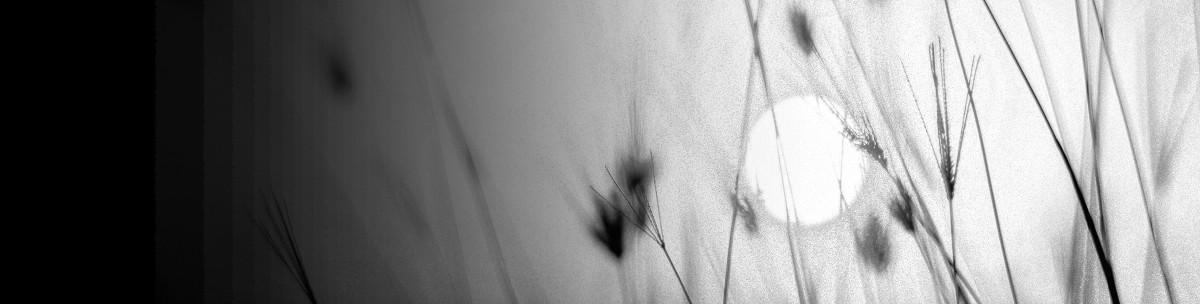 Anticipation, dystopies et autres vues de l'esprit.