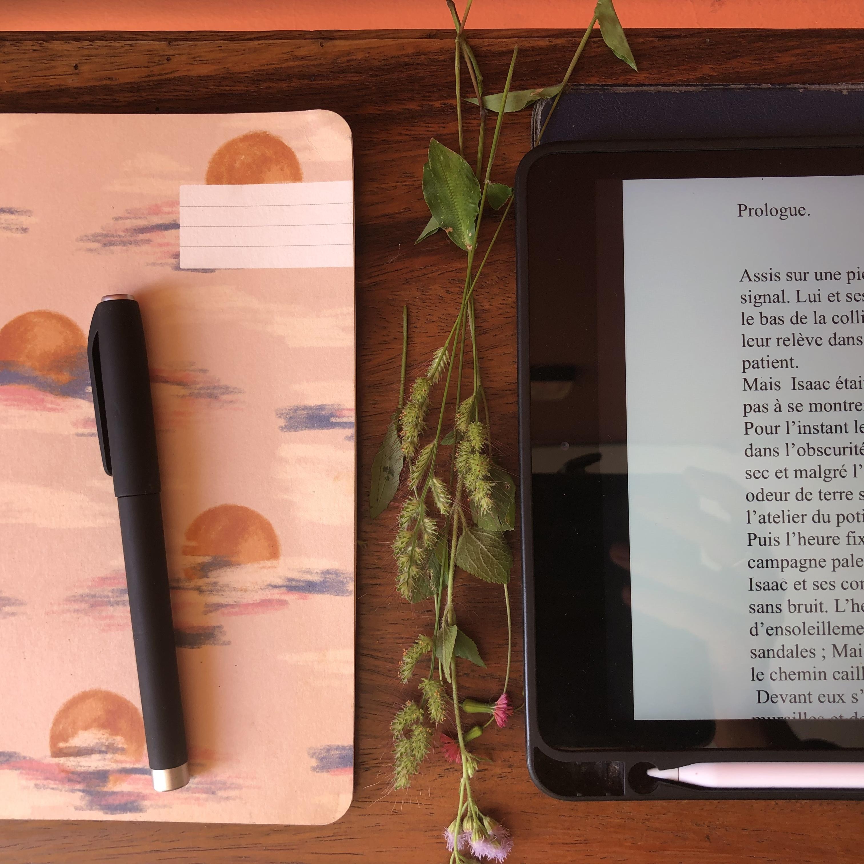 NOUVELLES ET NOVELLAS