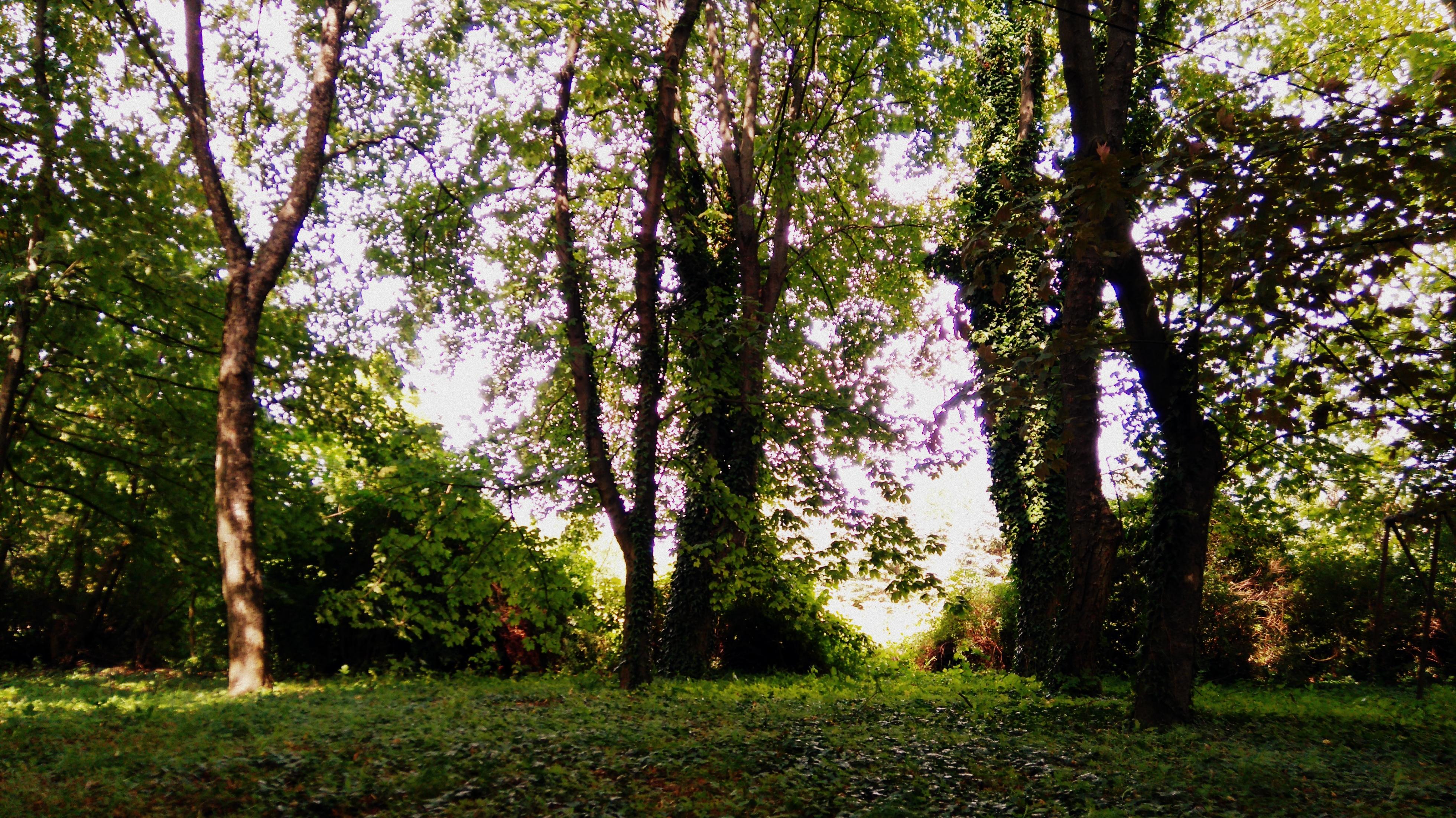 Könyves magazin pályázat