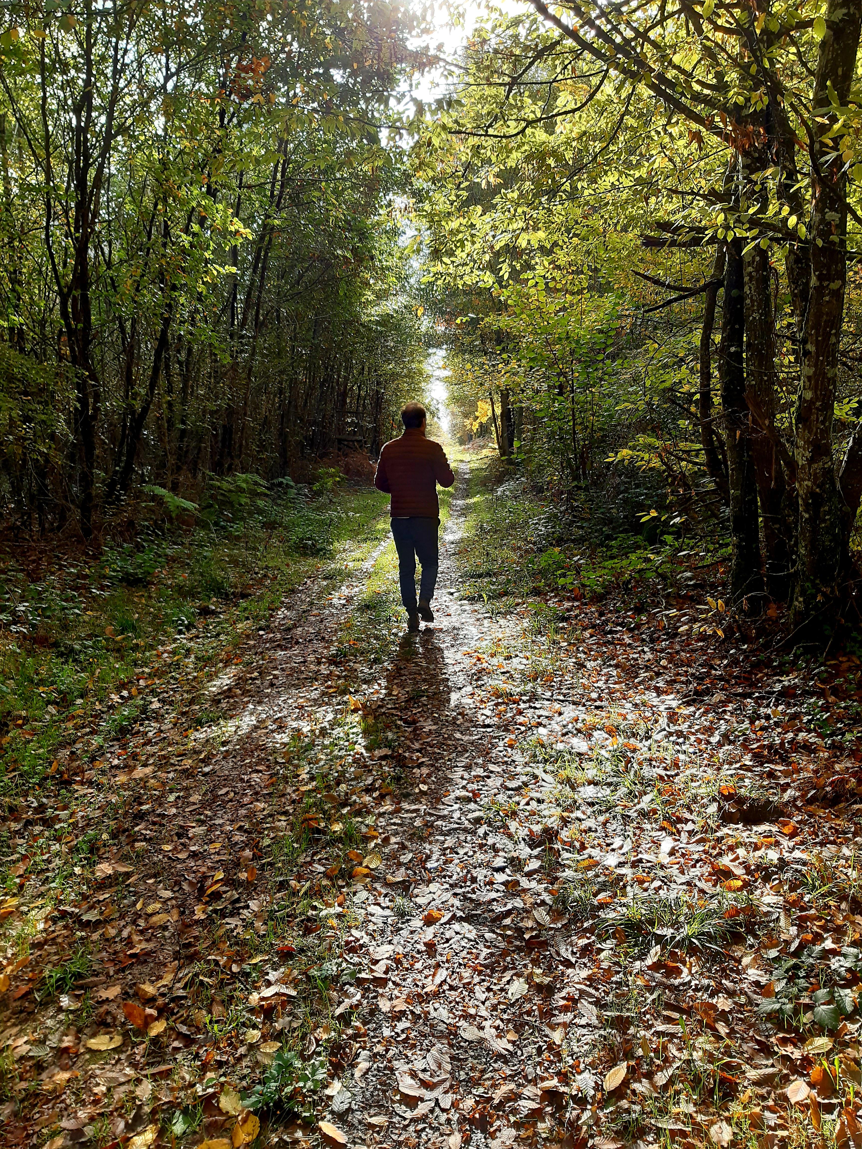 Manager en écosystémicien