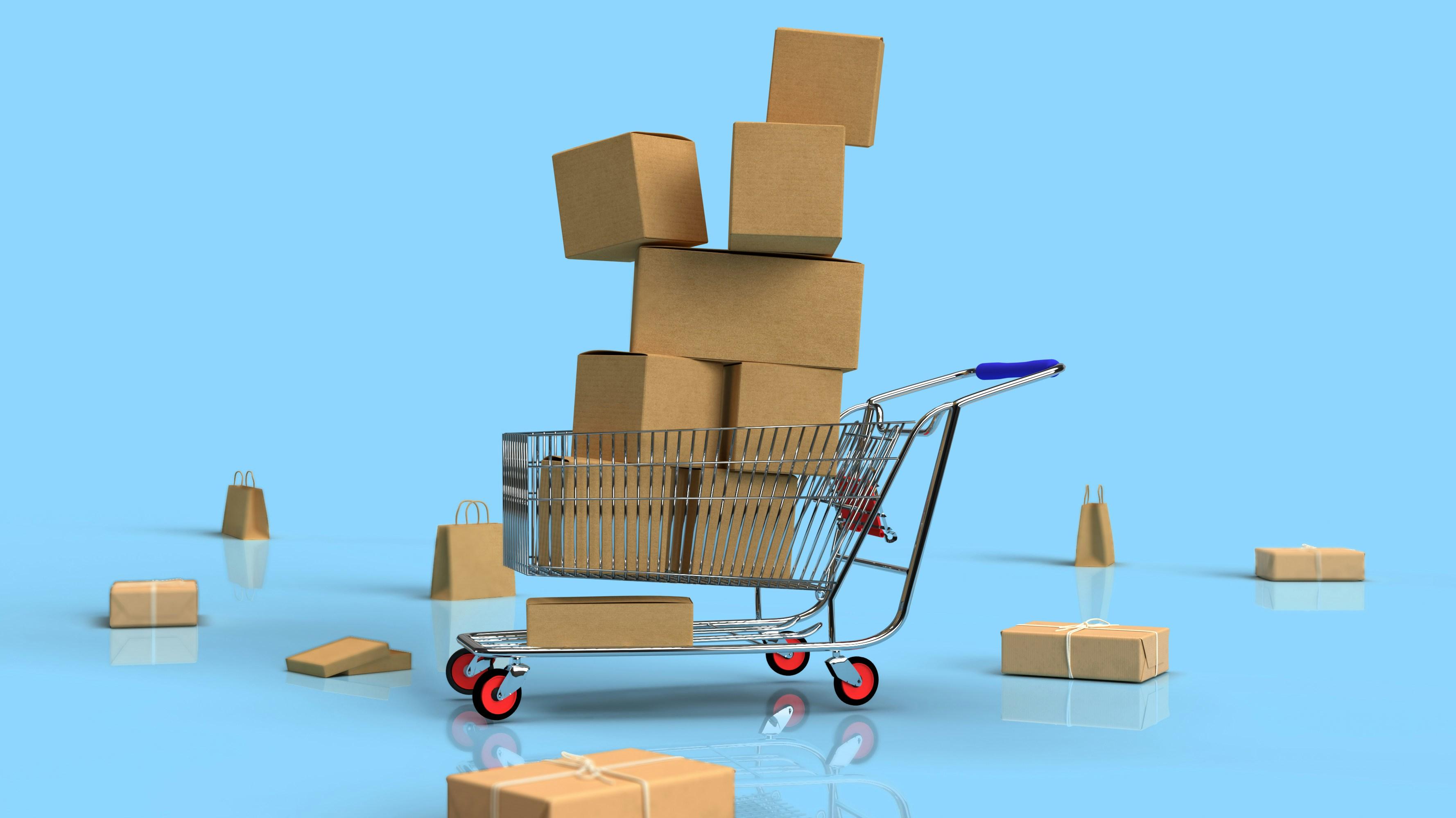 The Ethical Shopper - time and money well spent