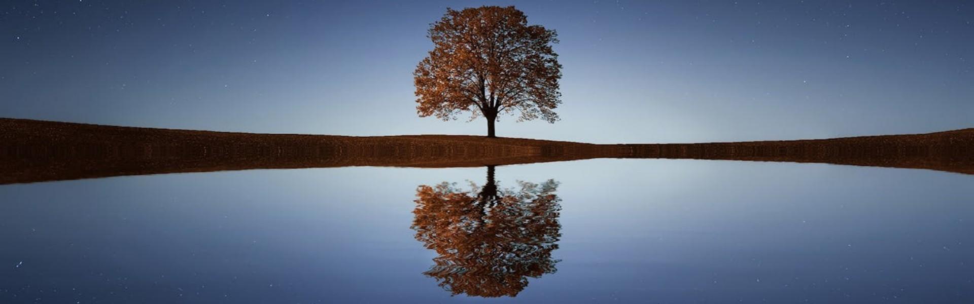 Pensées et réflexions...