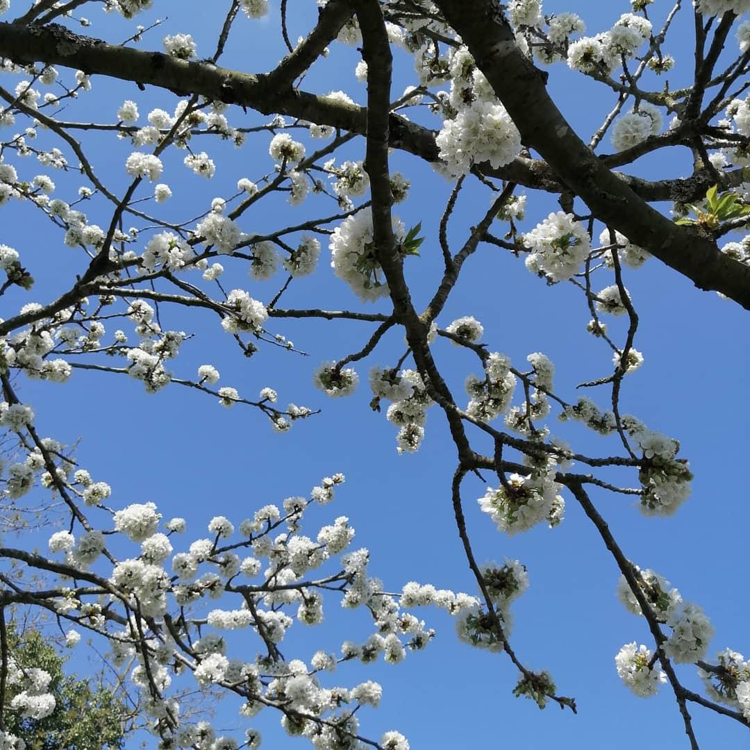 Les chroniques de Bella M