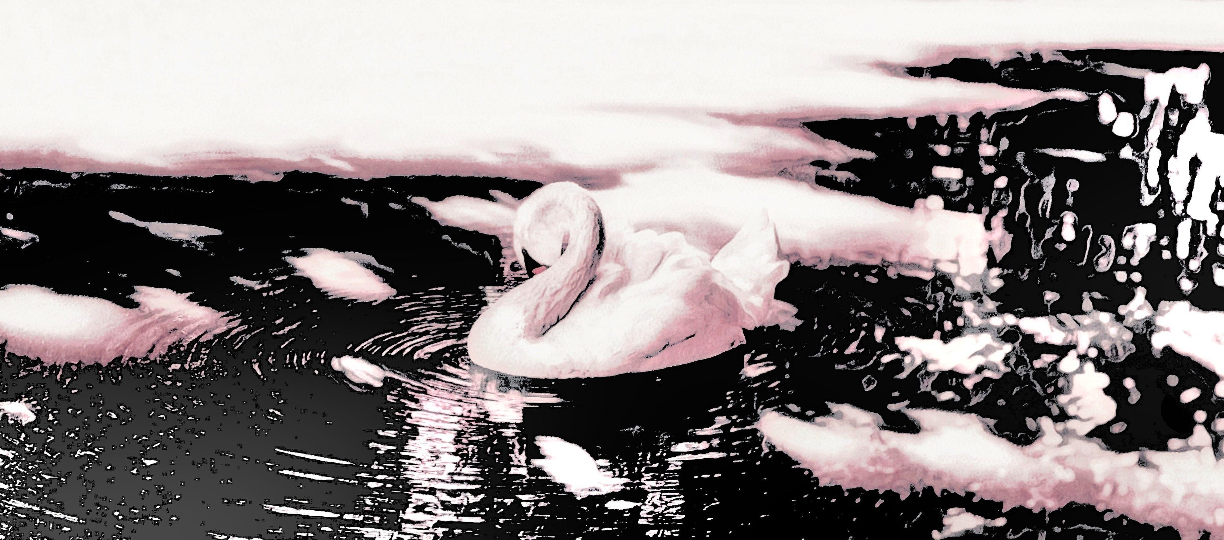 L'union du 3ème & 8ème art