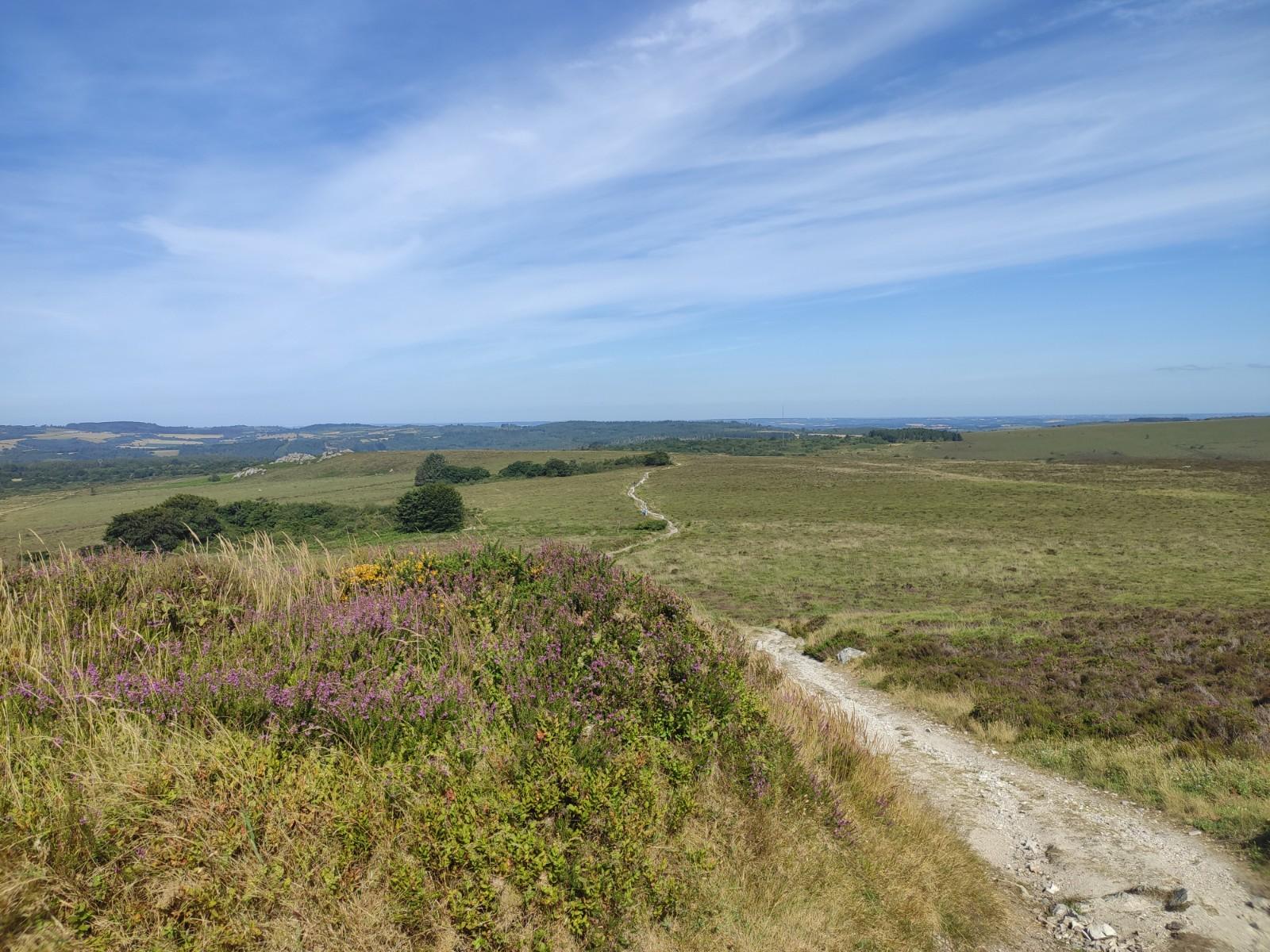 Voyages en impermanence - Everchanging