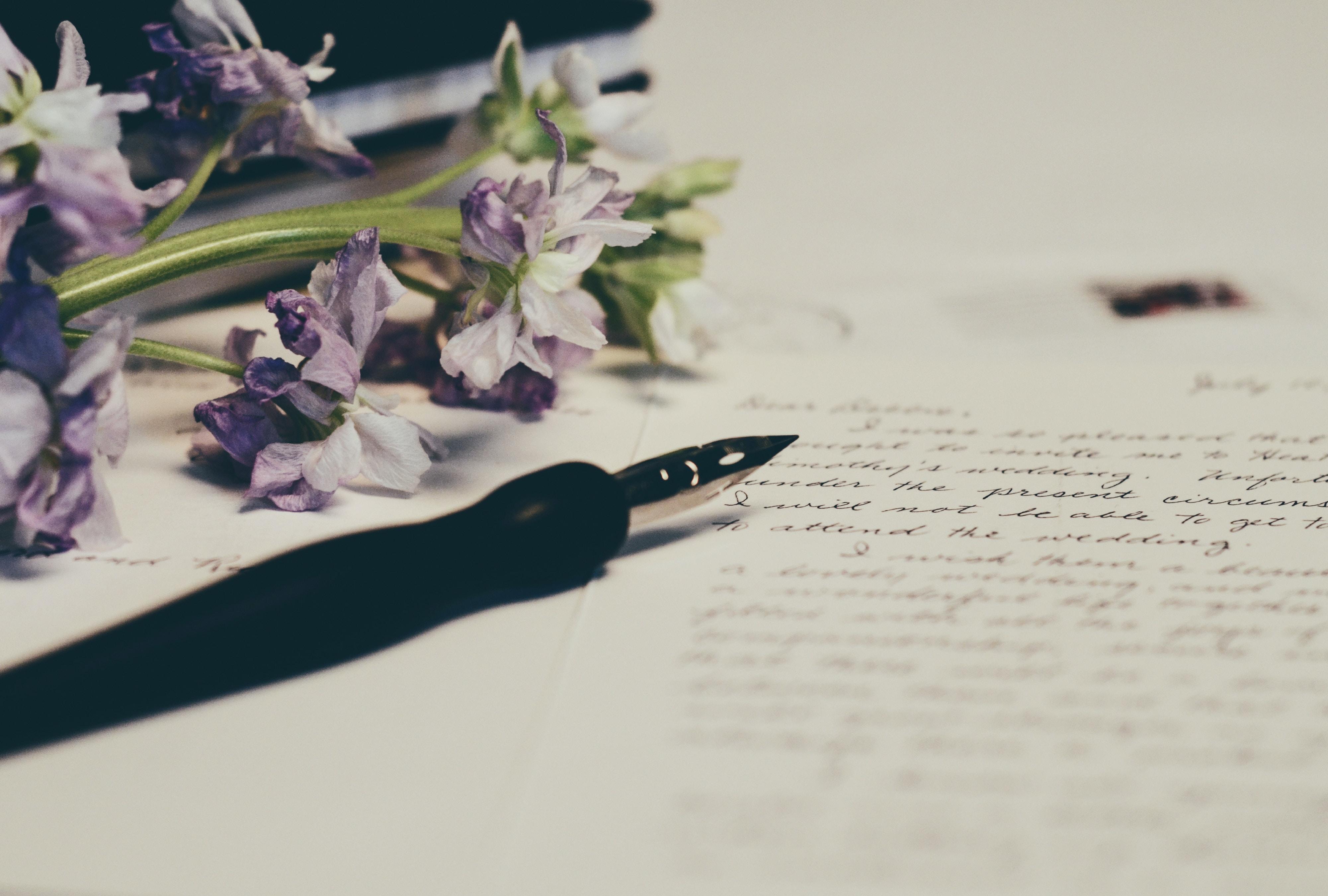 La scrittura è arte, è scienza. Non è per tutti