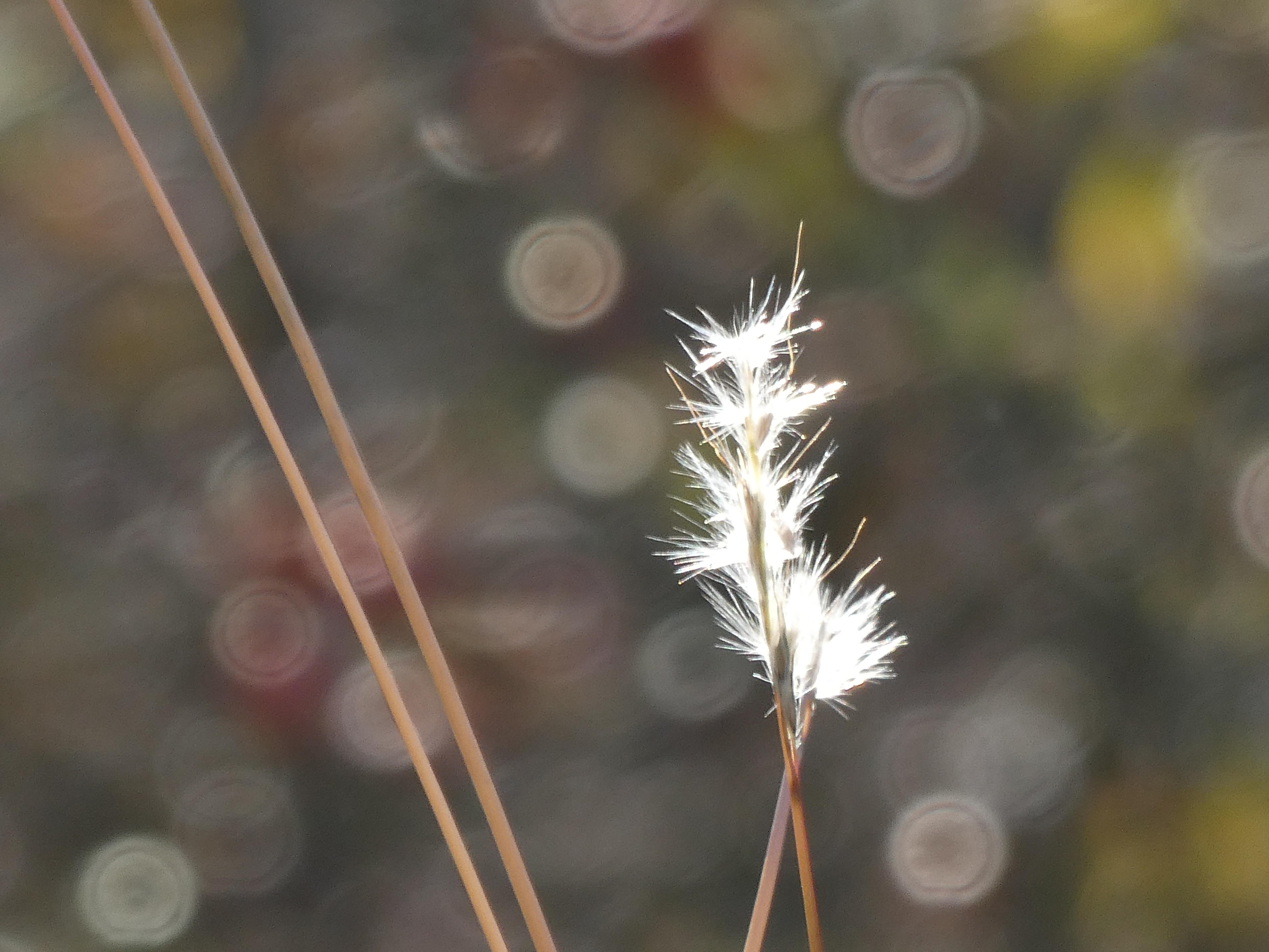 Petites inspirations