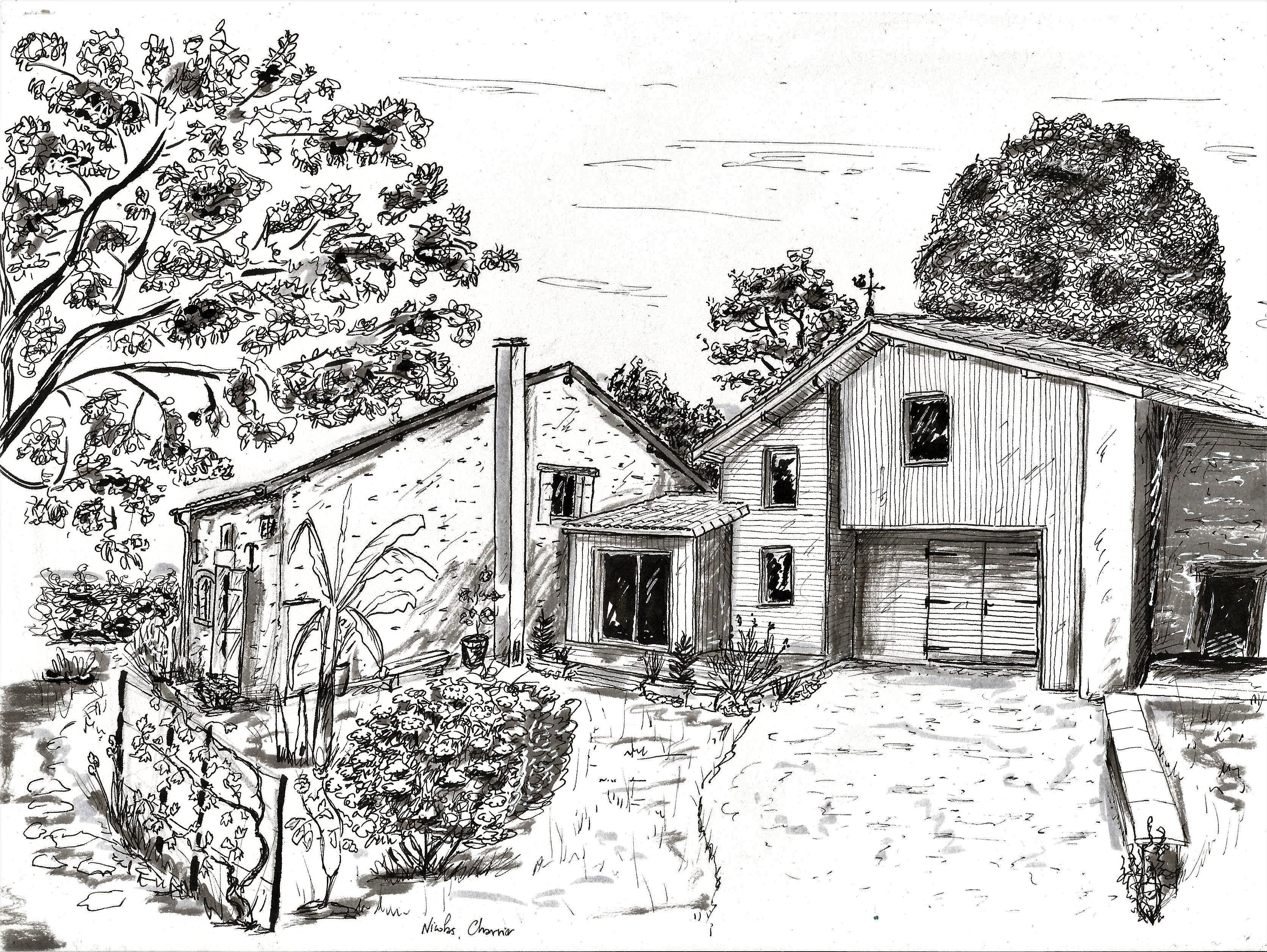 Les dessins du moment