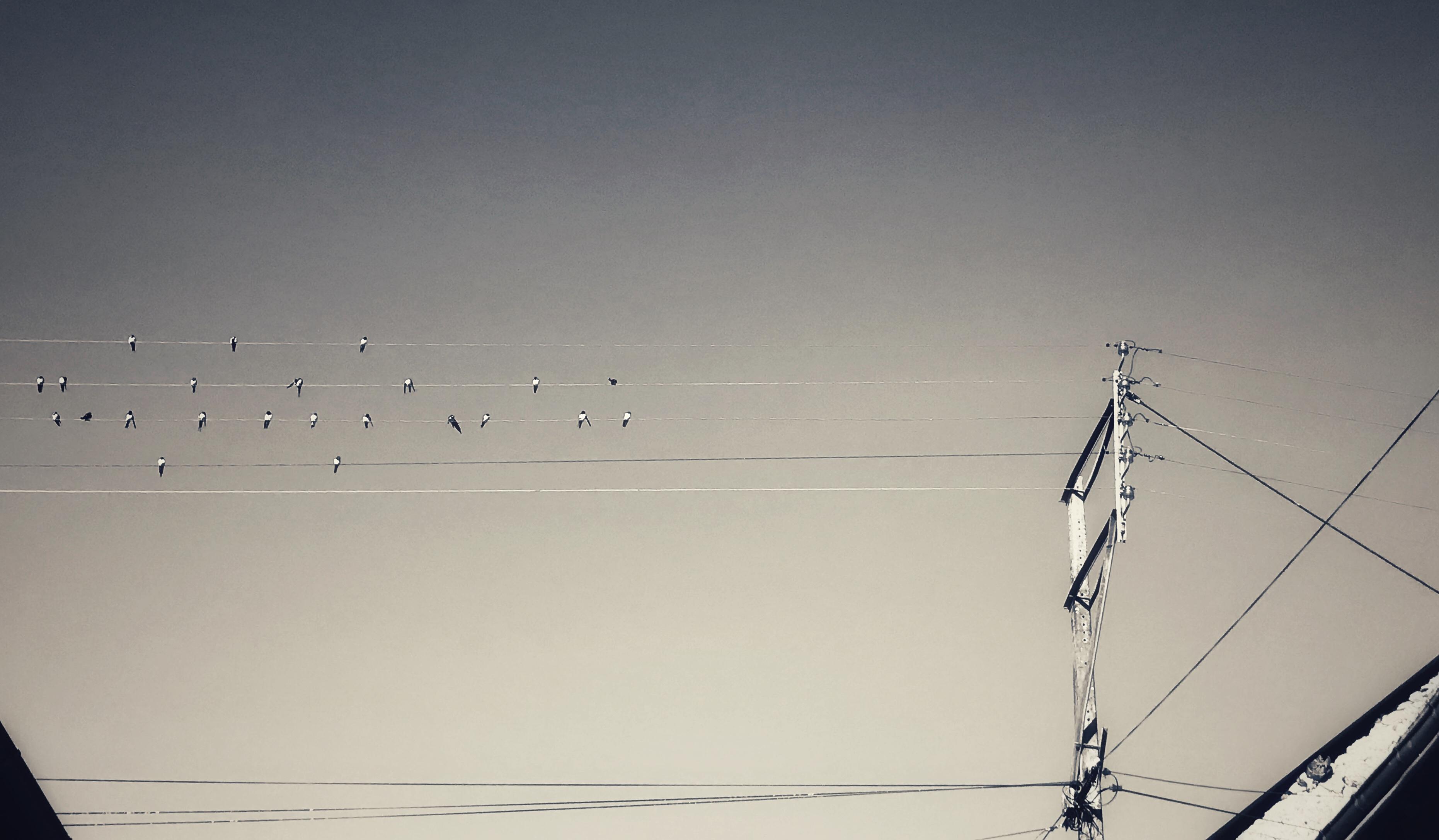 Sublime est le réel...