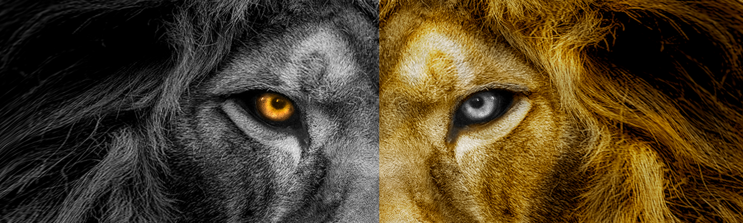 La légende de Nil
Livre 1 - Les Diamants de Sarel-Jad