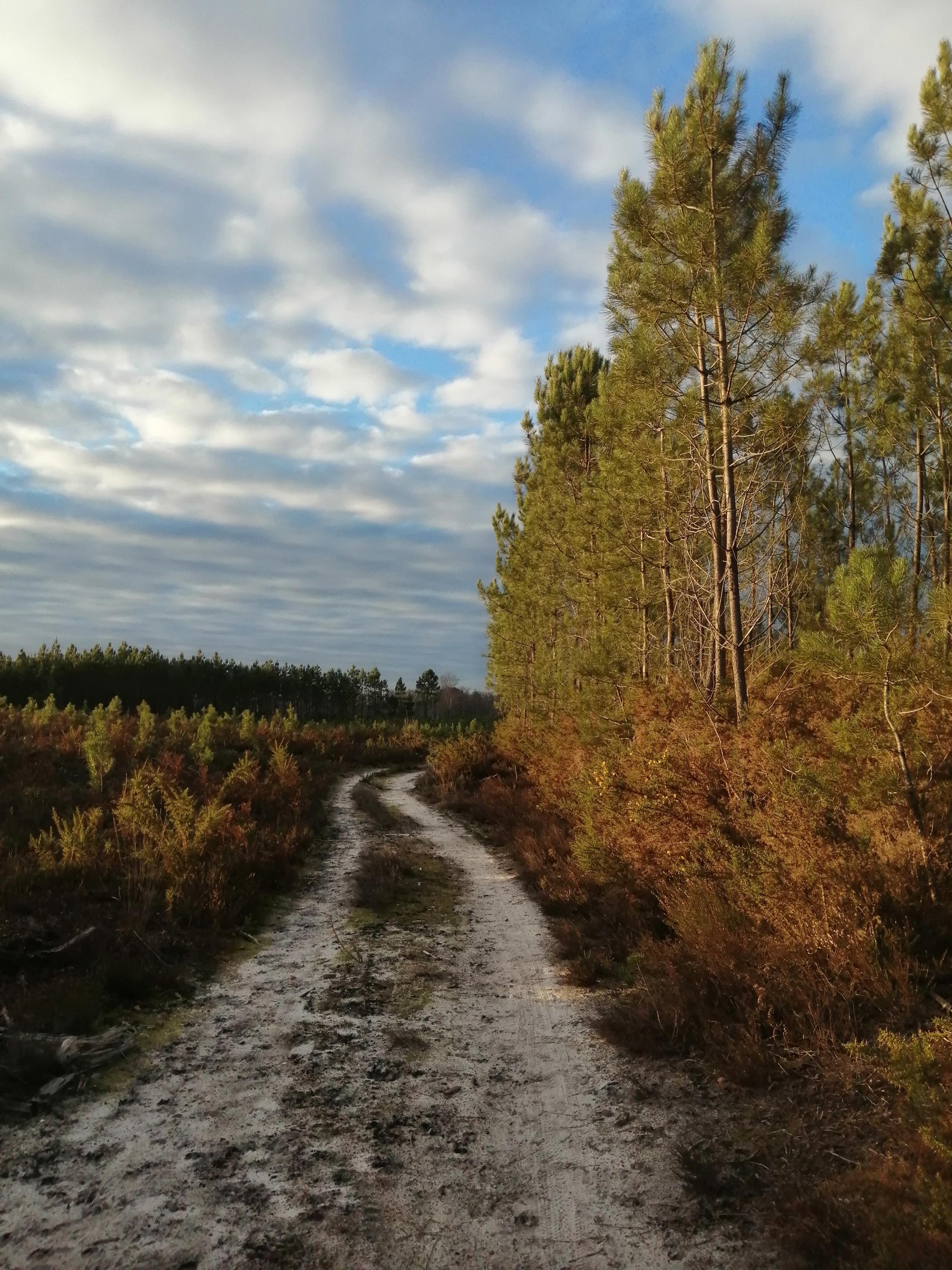 Mon corps, ma solitude et moi