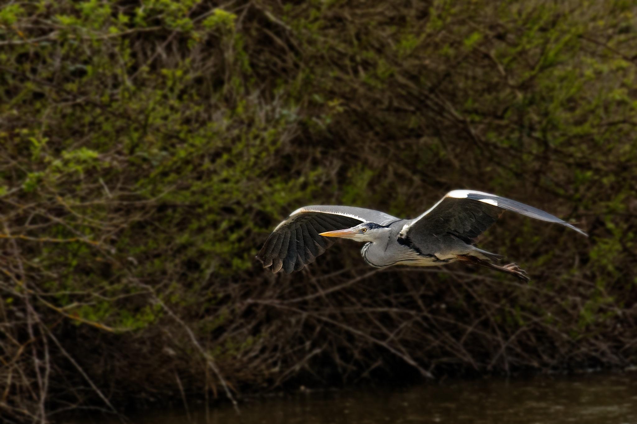 Au plus près de la nature