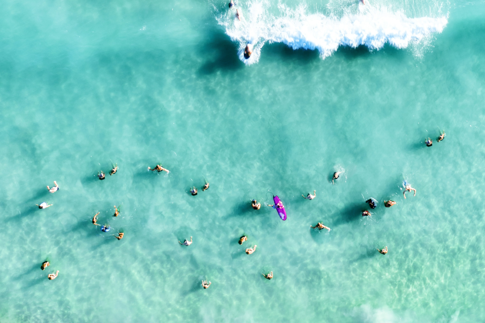 Culture [Open] Opale