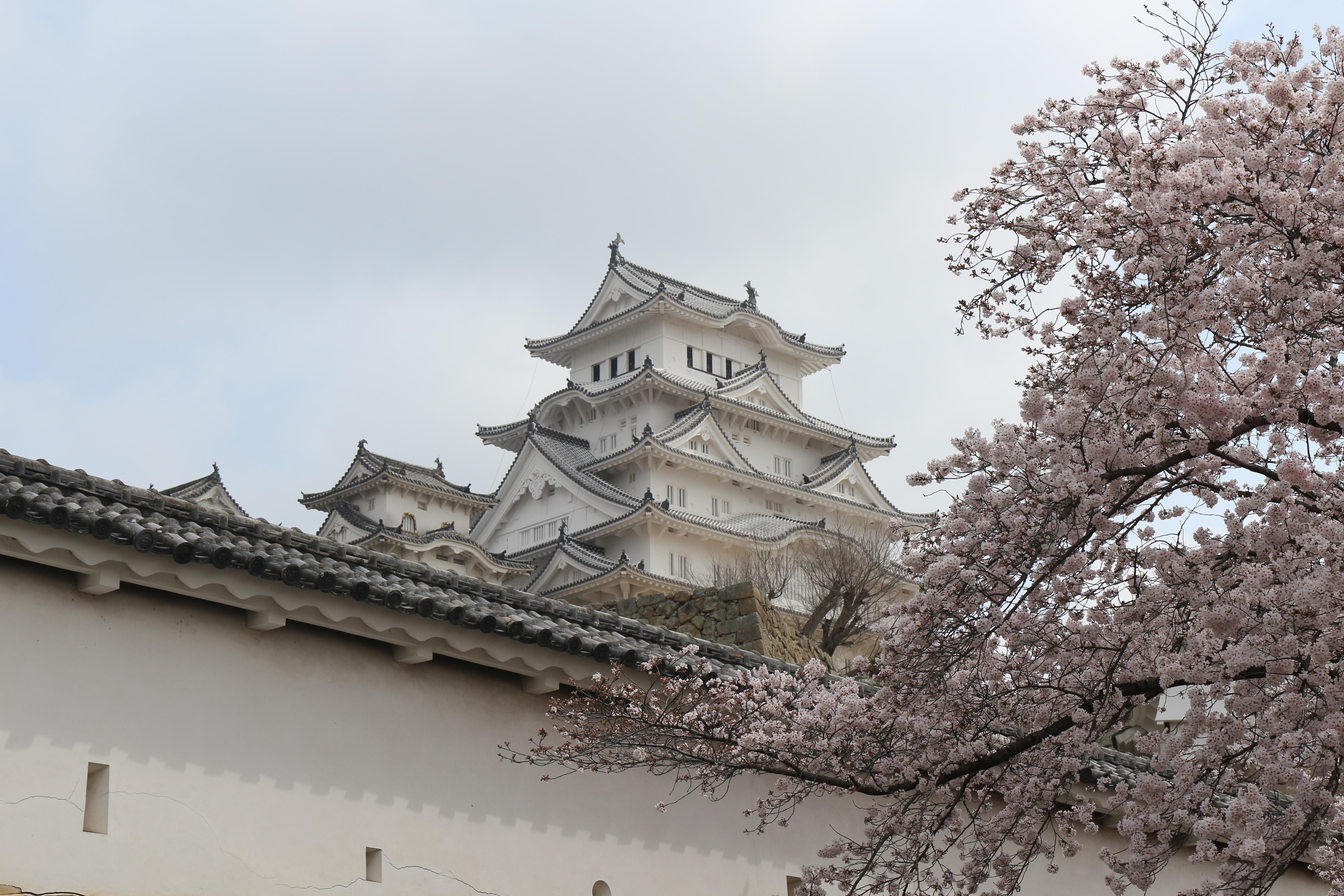 Les carnets du Japon