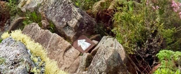 Pensons à notre Présent, ici et maintenant