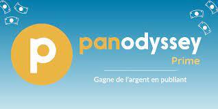 DANS MON DICO DE POCHE A MOI