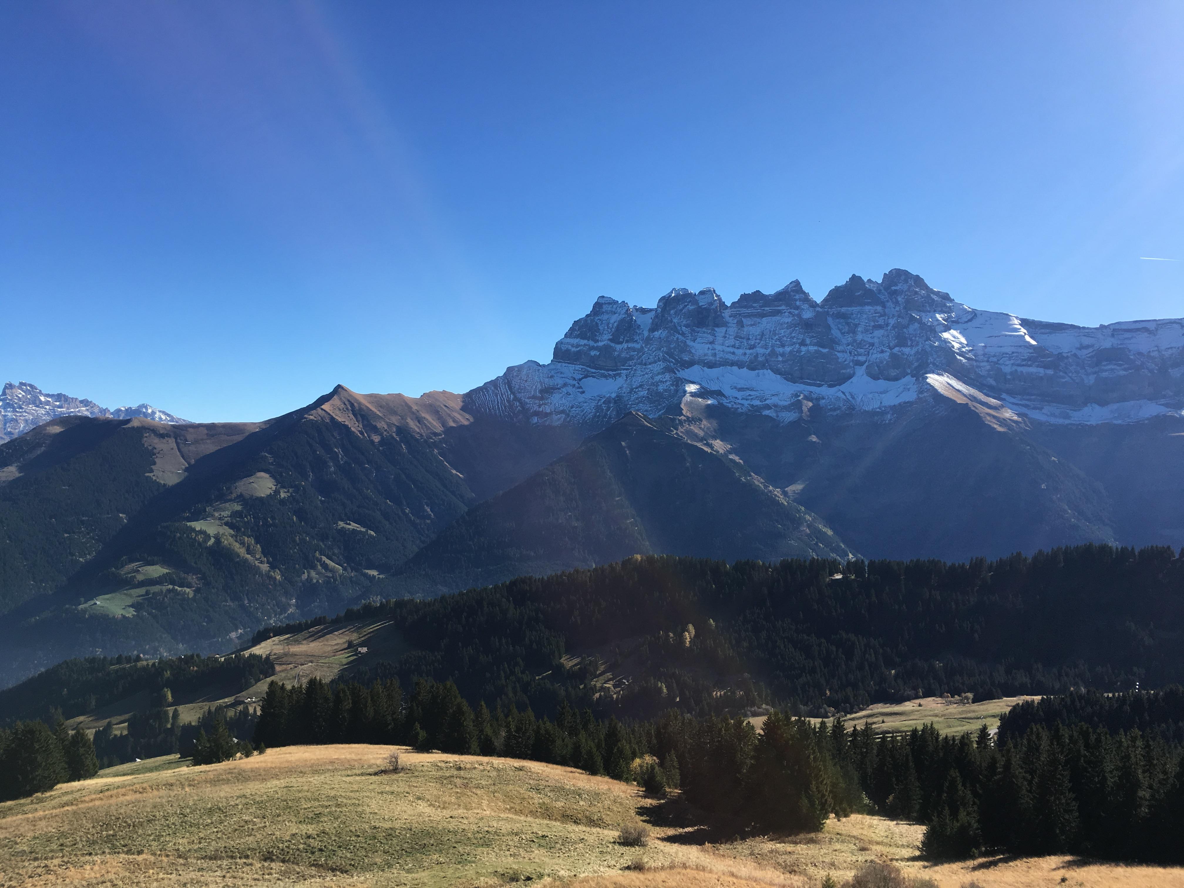 Les cancres repentis