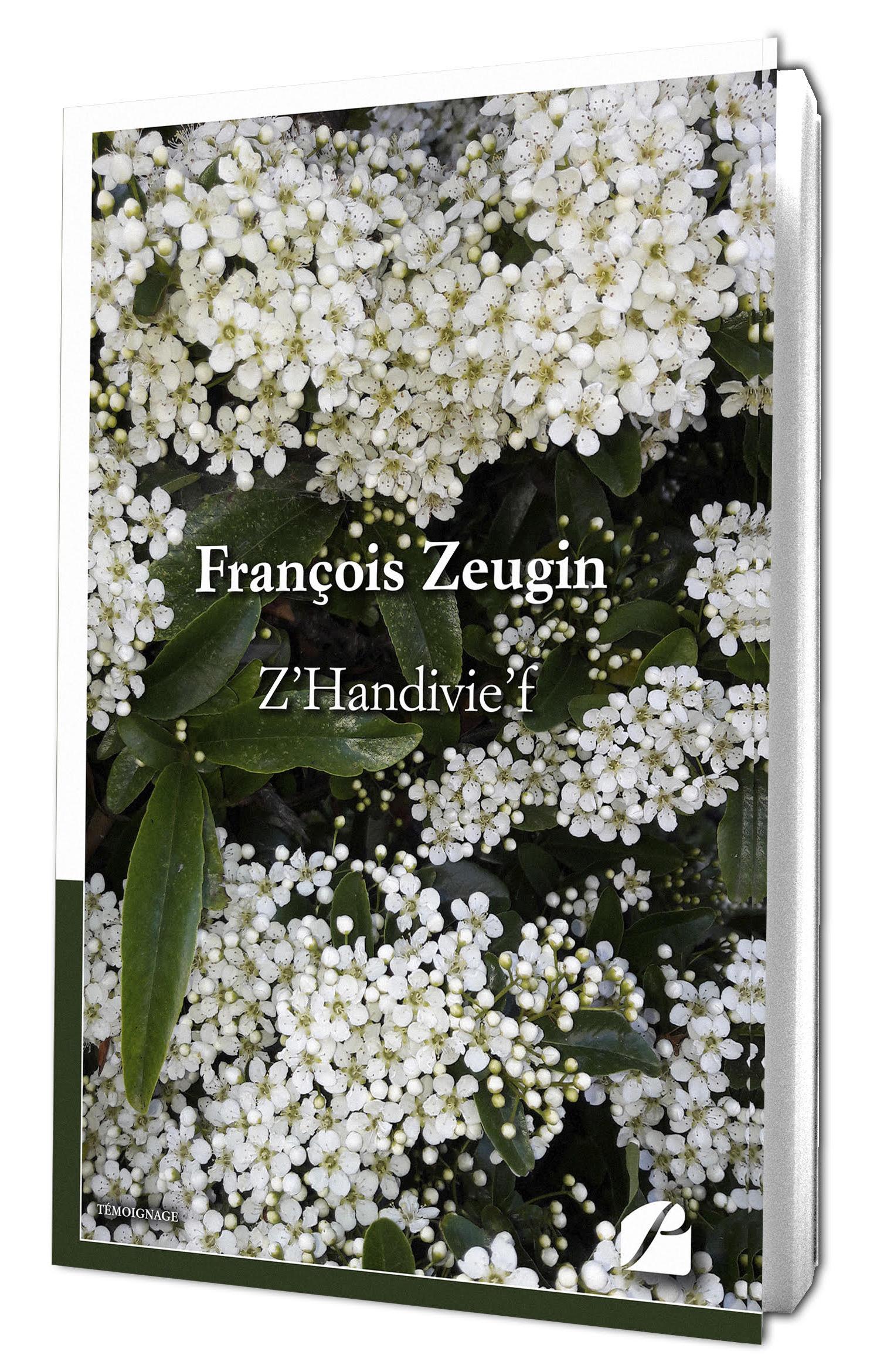 Z'Handivie'f le livre
