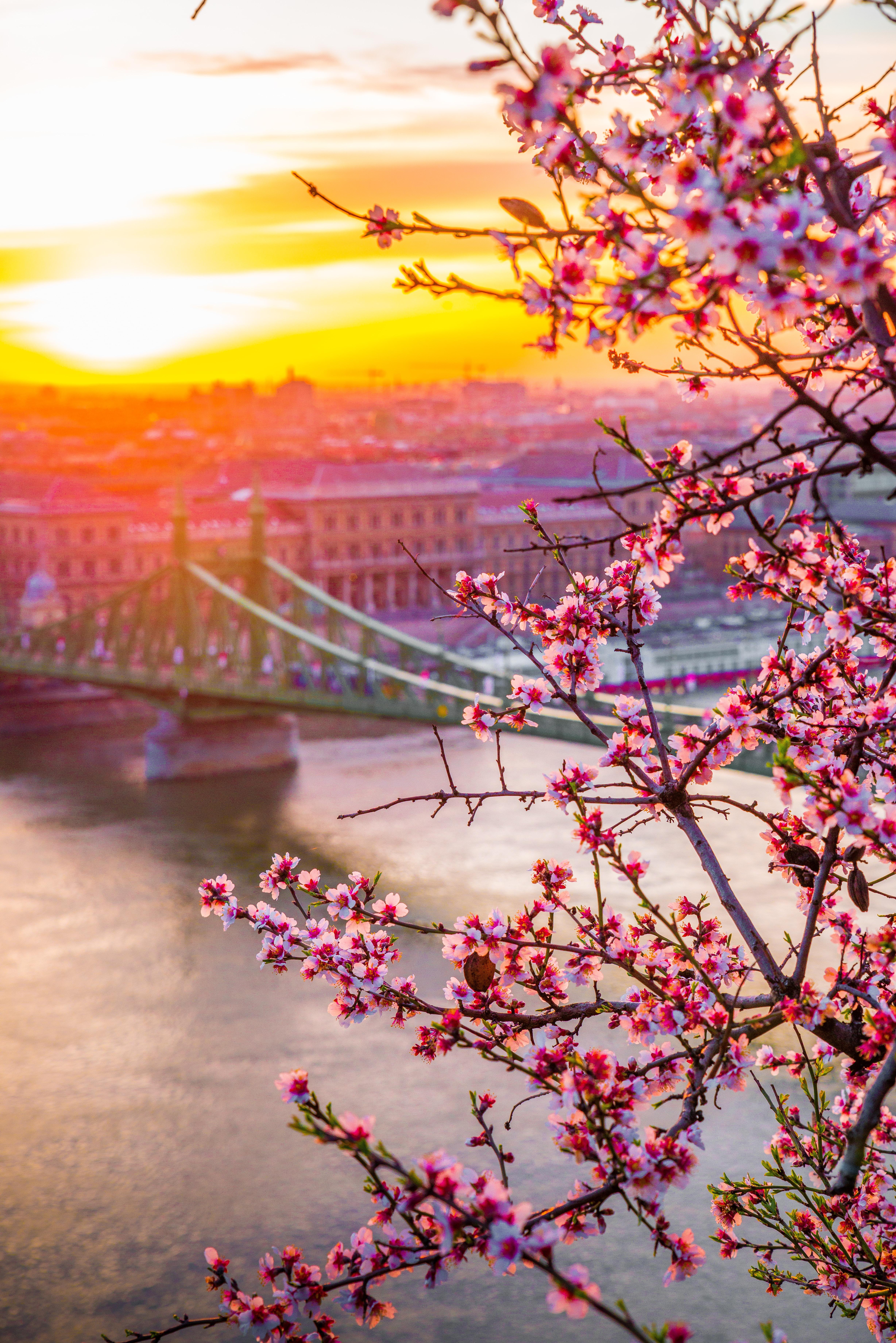 Magyar nyelvű írások (Stories Written in Hungarian)