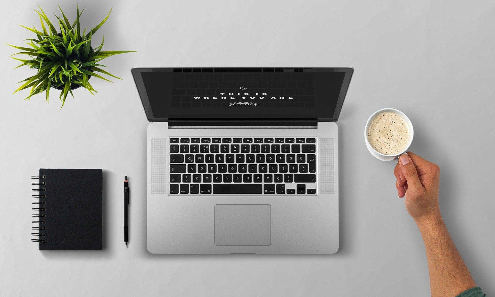 Rédaction Web SEO