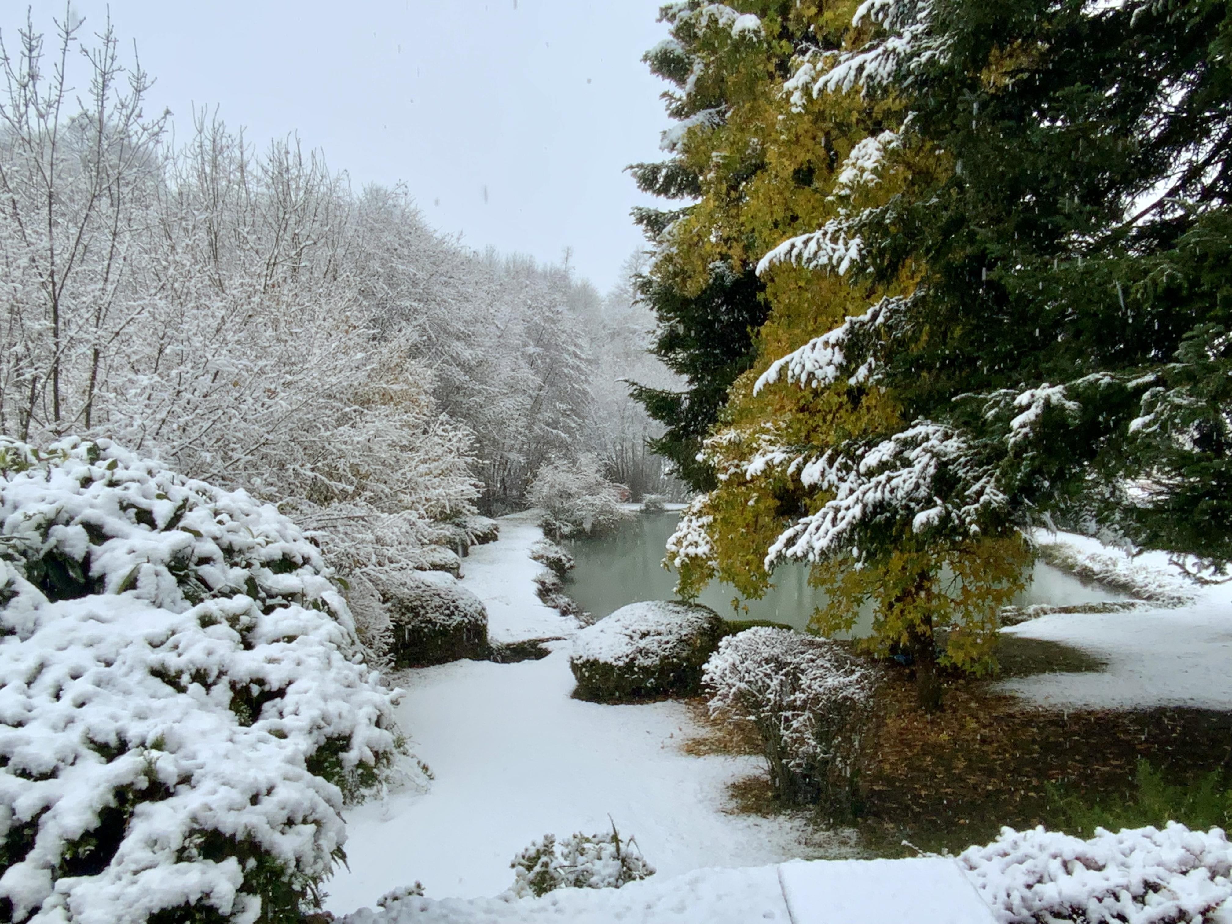 Saisons