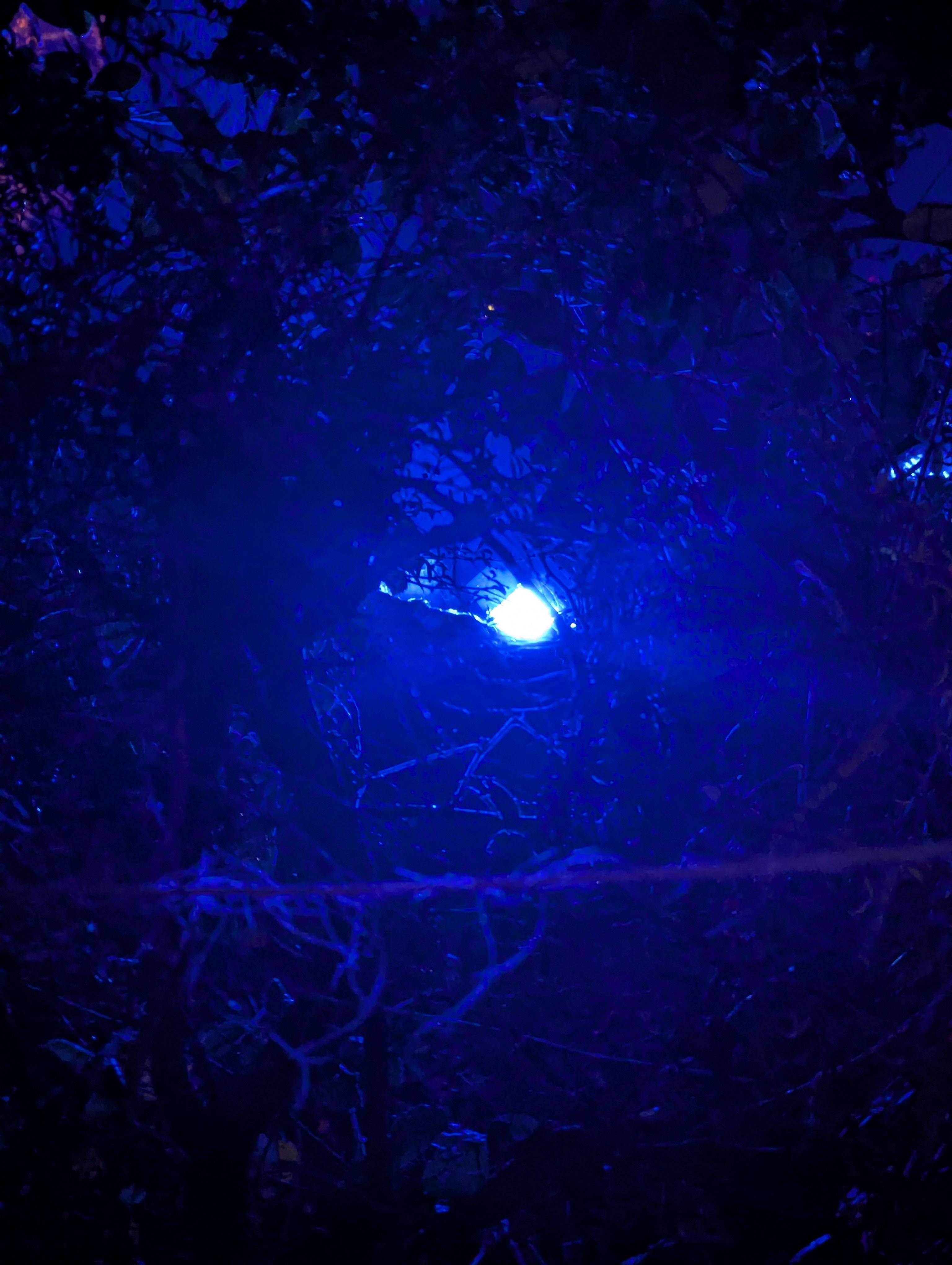 L'heure et la date, un moment, une éternité.