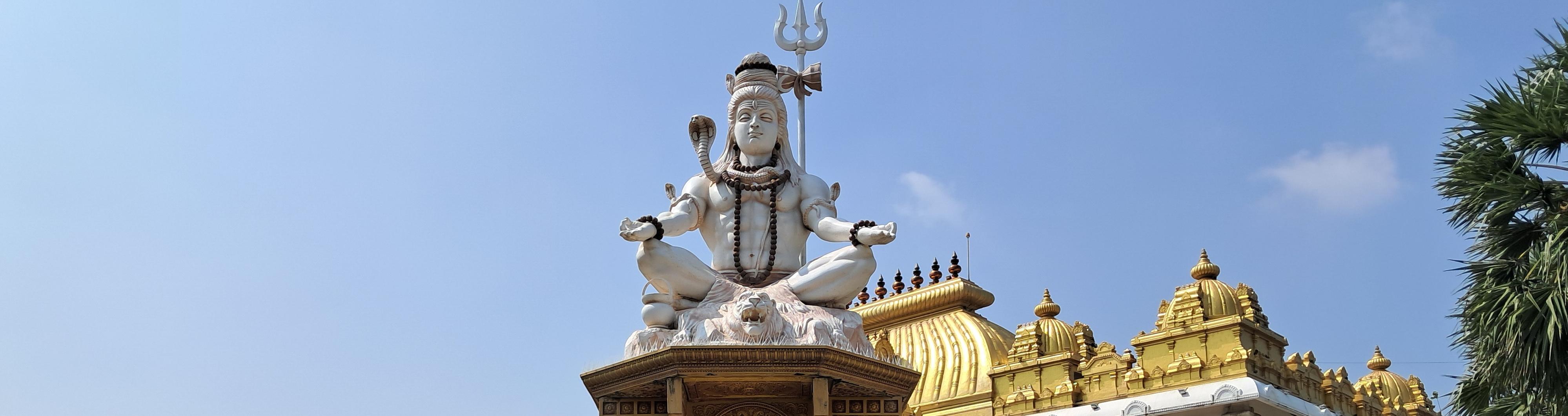 En partance pour l'Inde du Sud (Kerala, Tamil Nadu)