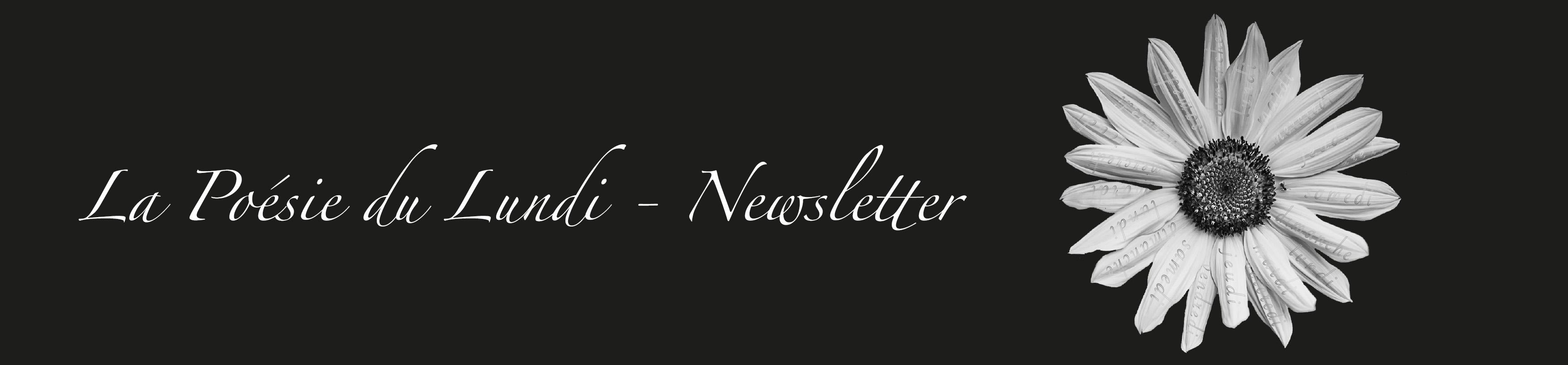 LA POÉSIE DU LUNDI - NEWSLETTER