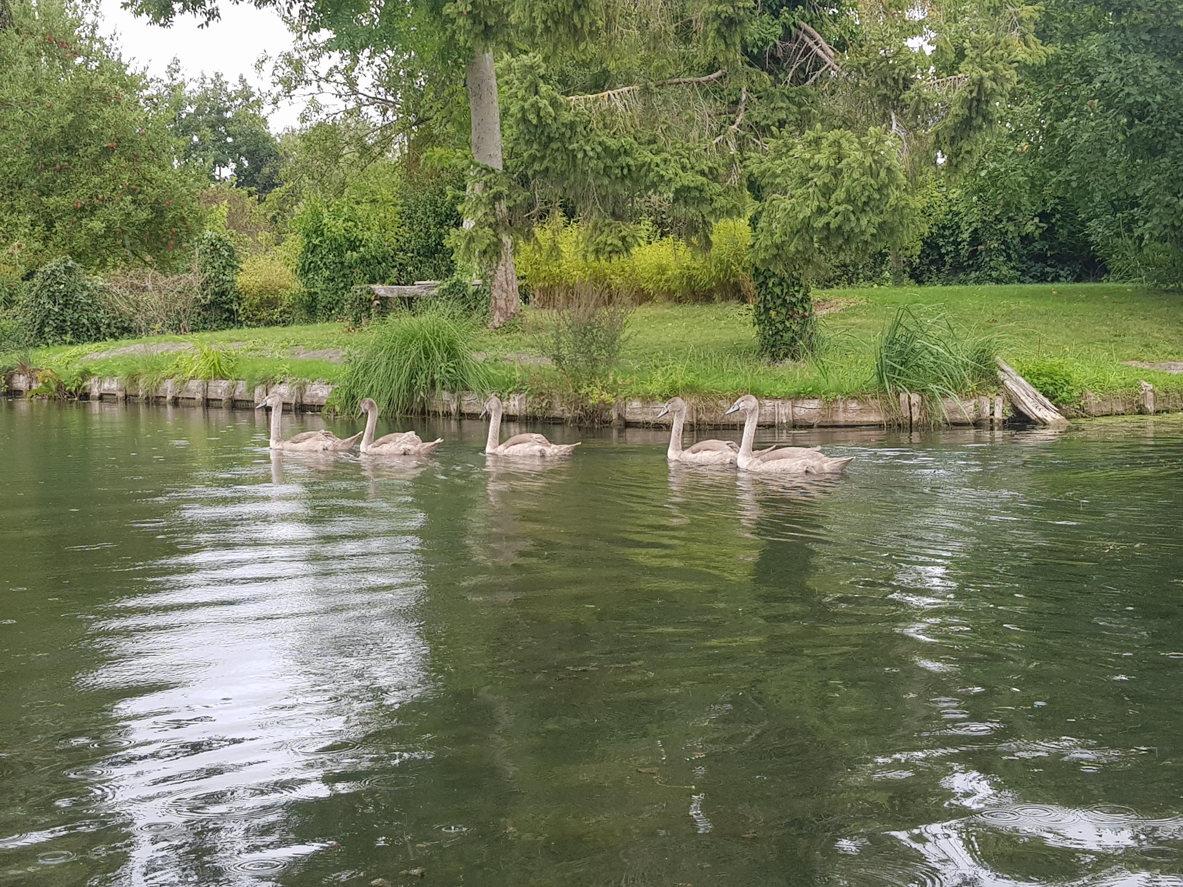 Les tumultes de l'existence