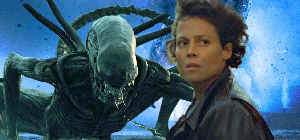 Chroniques Cinématographiques