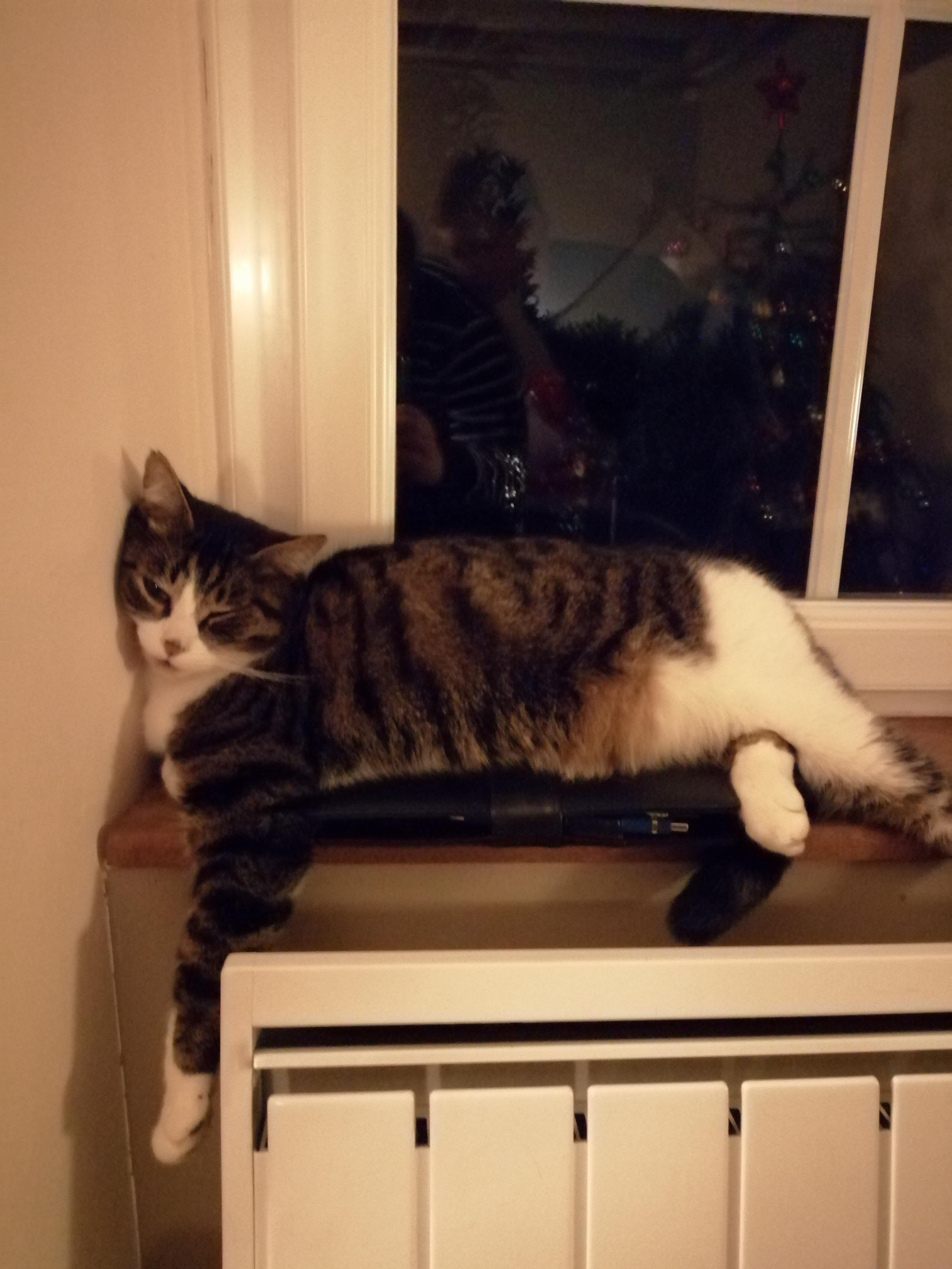 NOTES POUR MOI-MÊME...