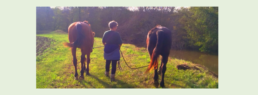 Ouvre ton cœur et retrouve le chemin de soi