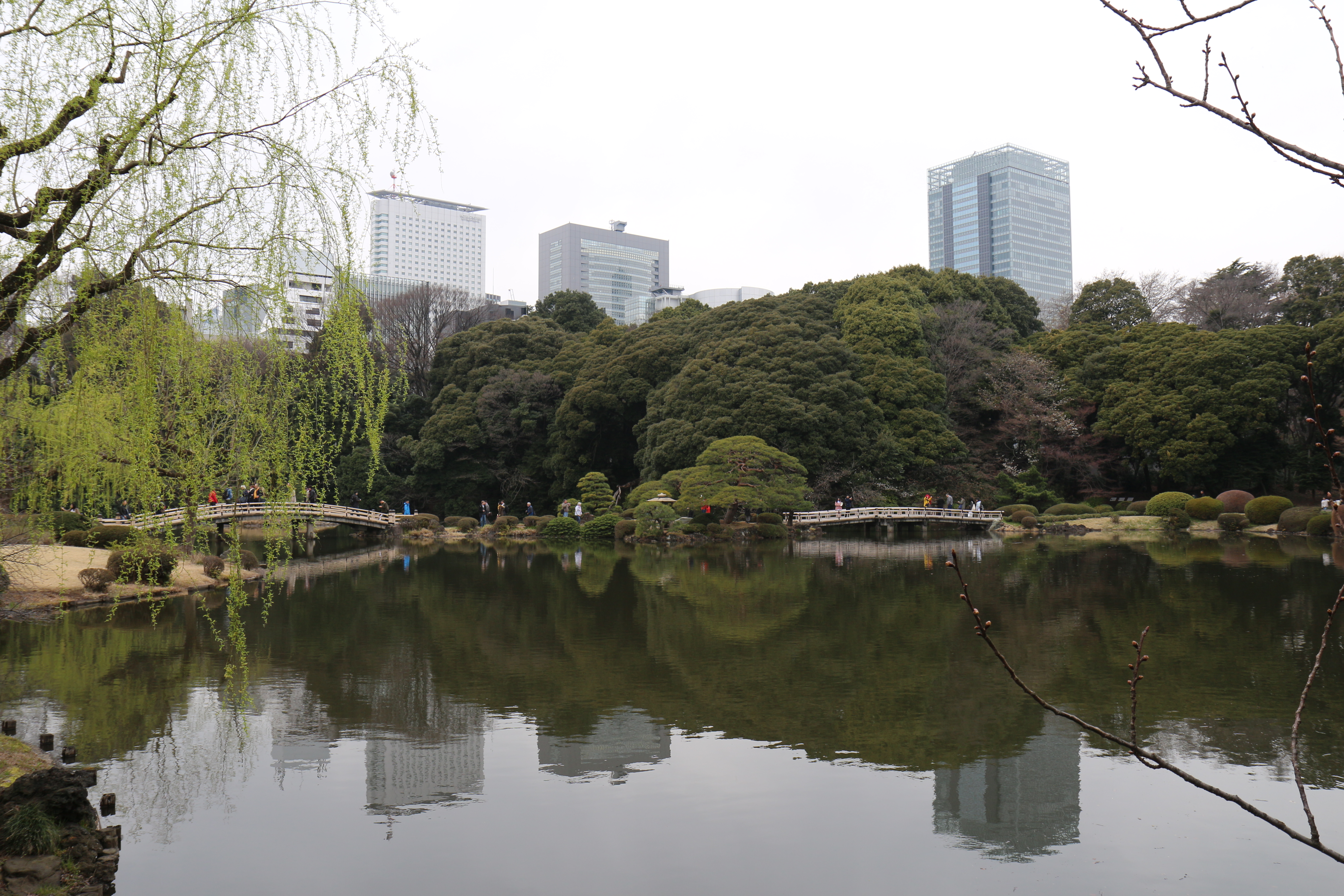 Photo du plan d'eau du parc de Shinjuku. Au premier plan le plan d'eau, puis le pont et la berge peuplée de végétation. A l'arrière plan, les buildings de Tokyo.