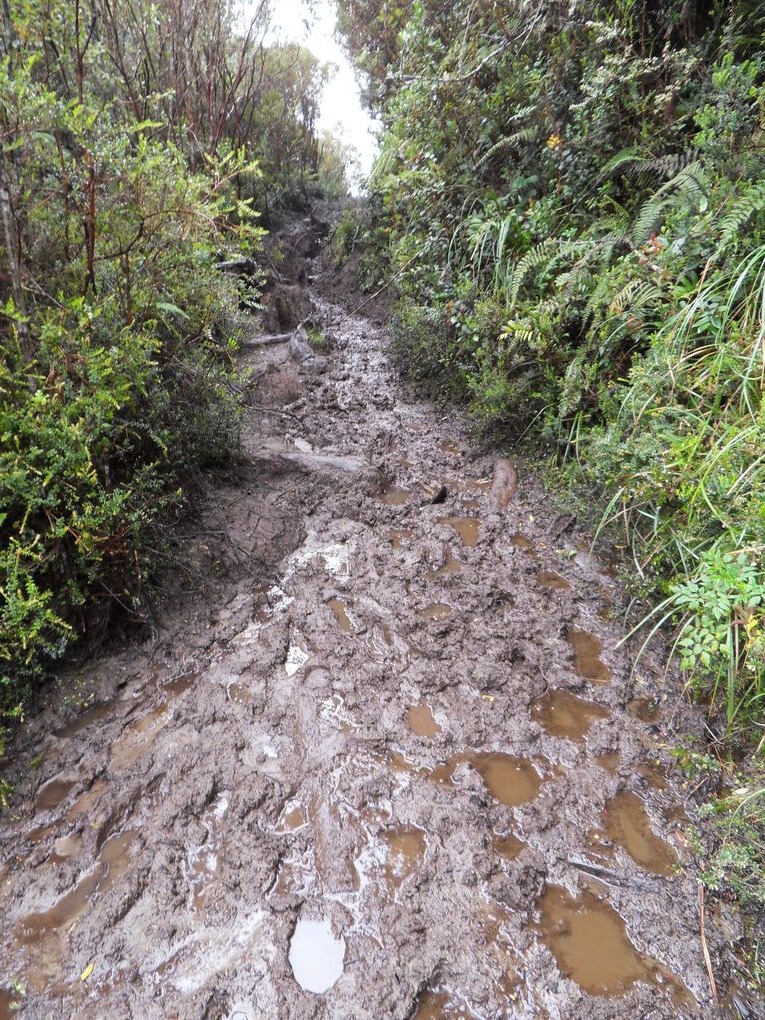 Salento et l'ascension du Tolima ( 5225m )