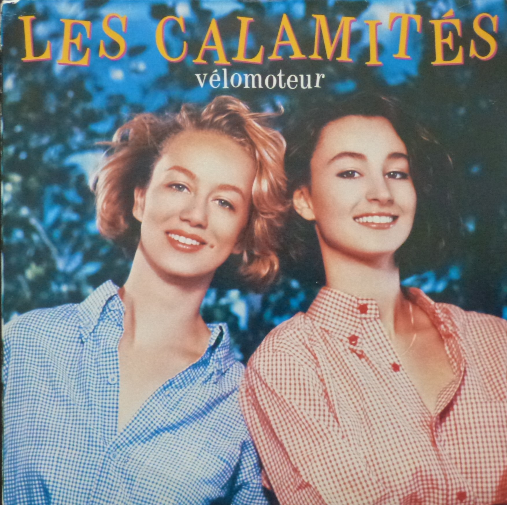 les calamités