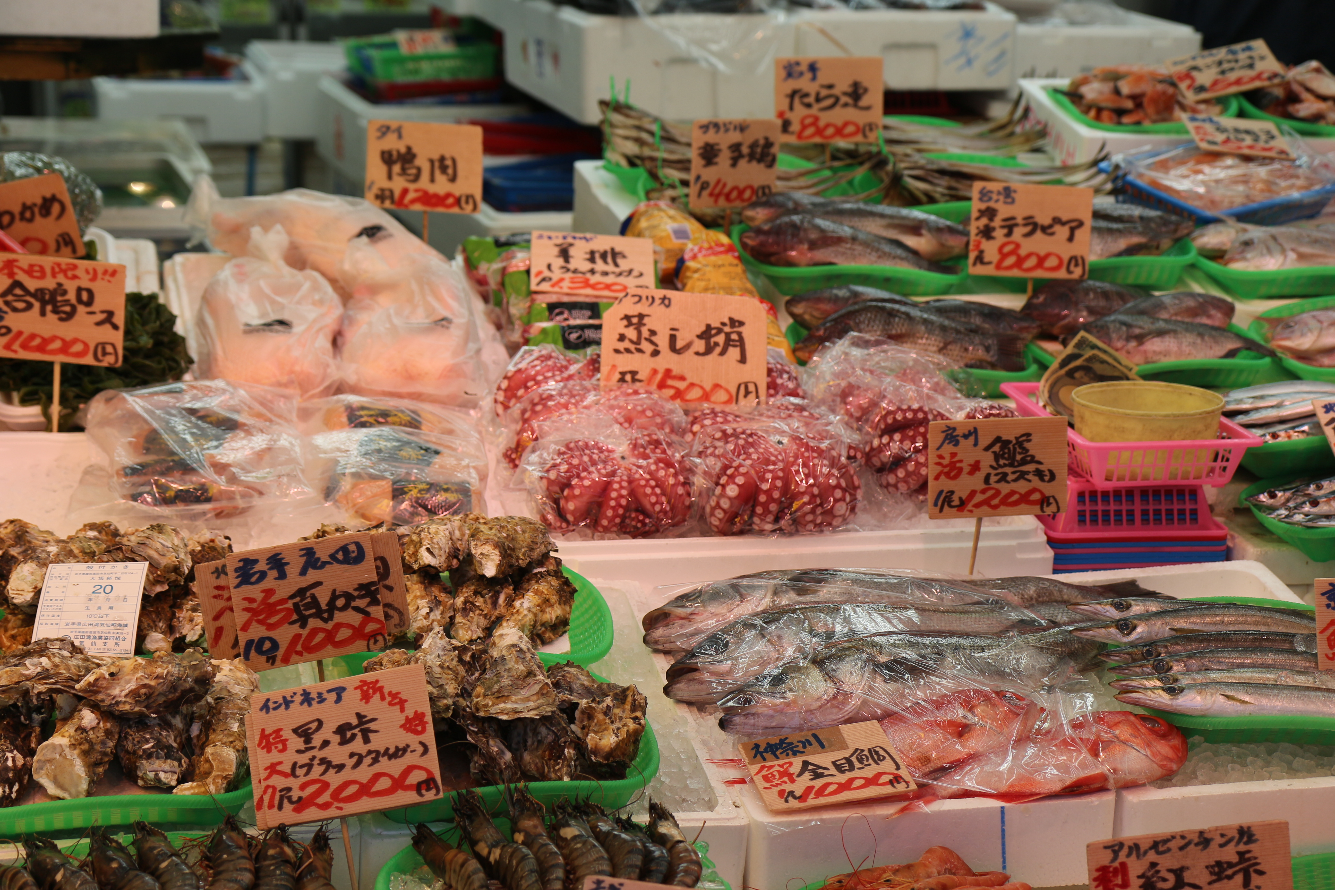 Photo d'un étal de la rue Ameyoko, on y voit poissons, poulpes, crevettes et huîtres.