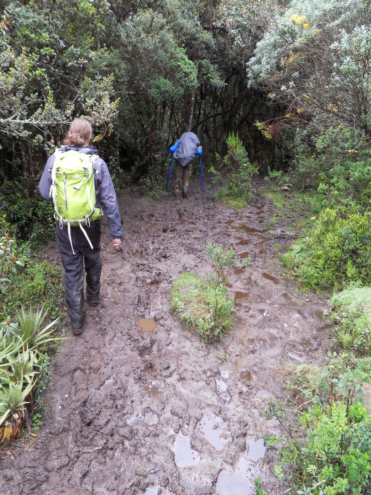 Salento et l'ascension du Tolima ( 5225m )