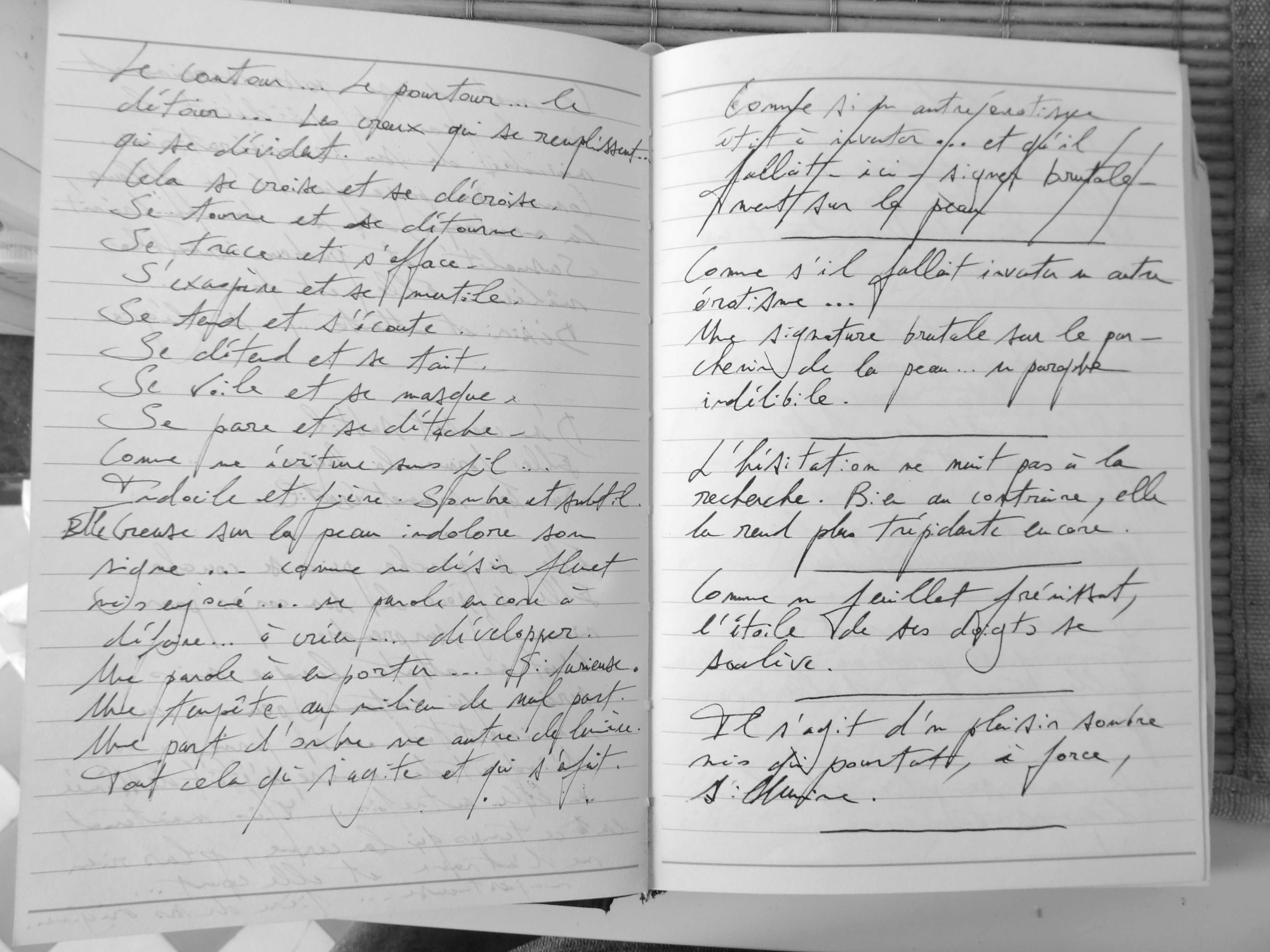 page journal d'écriture