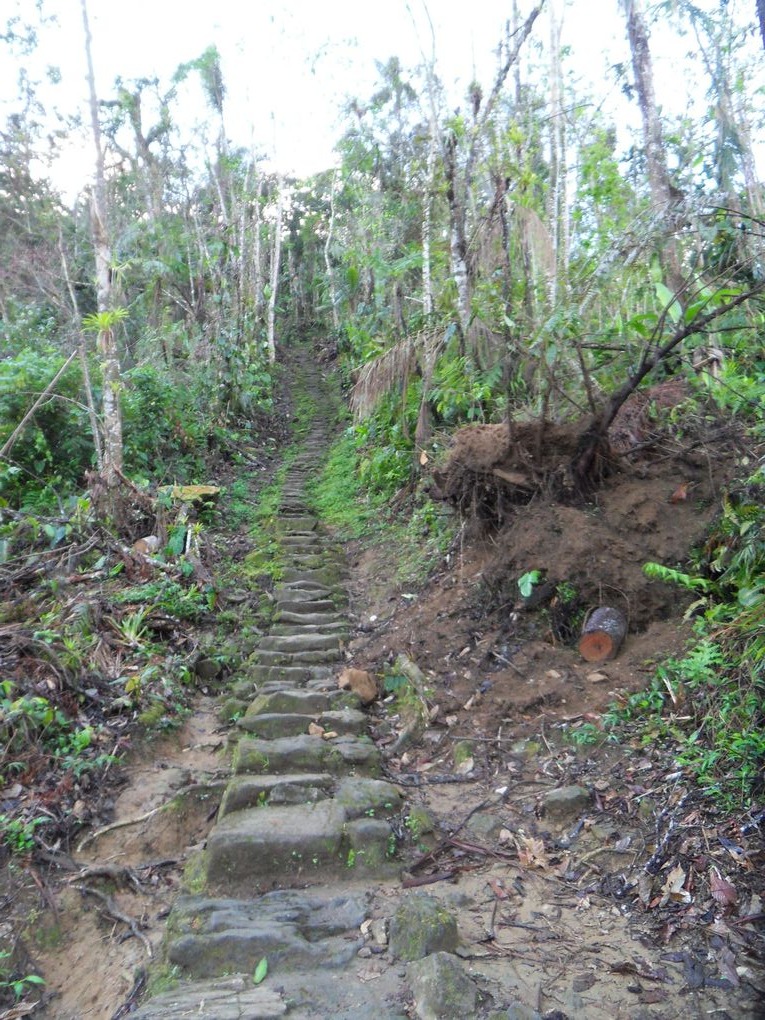 La Ciudad Perdida ( la Cité Perdue)