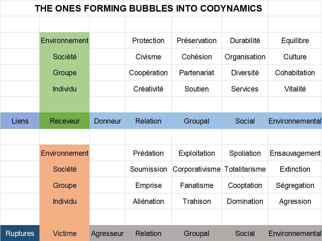 BUBBLES AND BINDINGS BY EVA MATESANZ