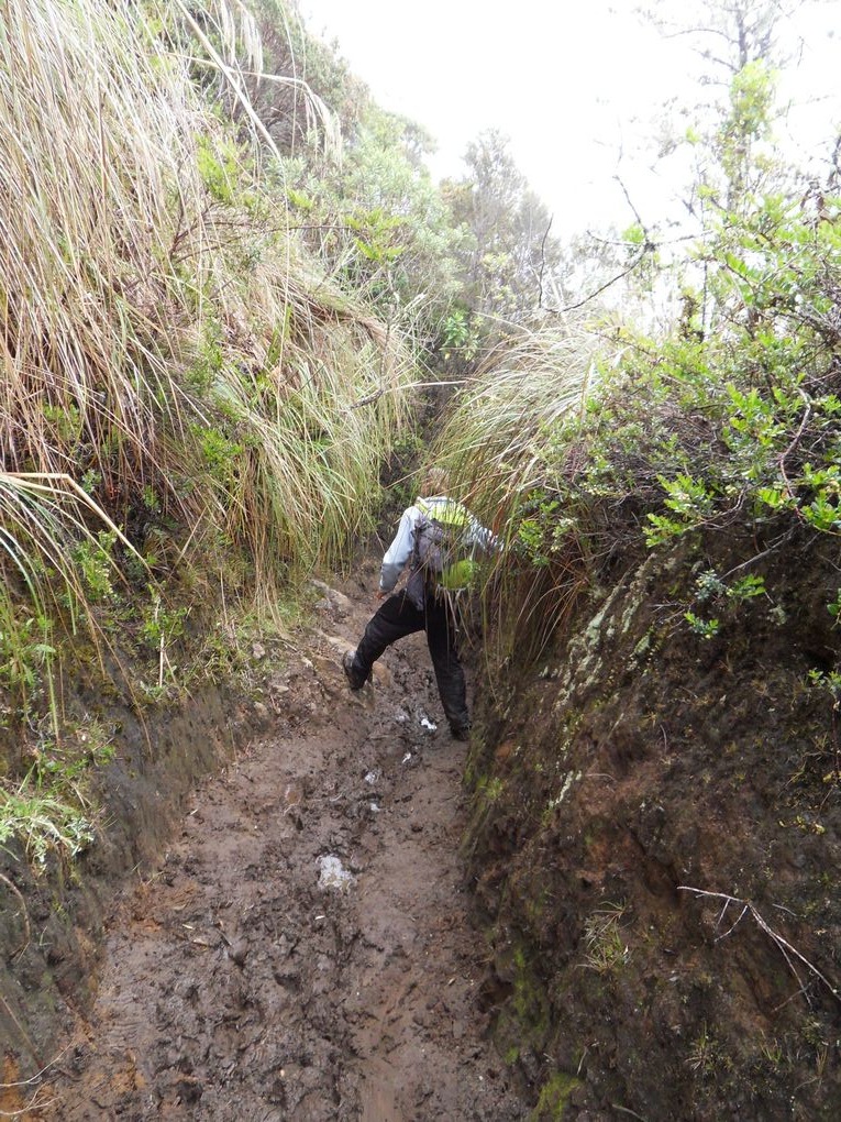 Salento et l'ascension du Tolima ( 5225m )