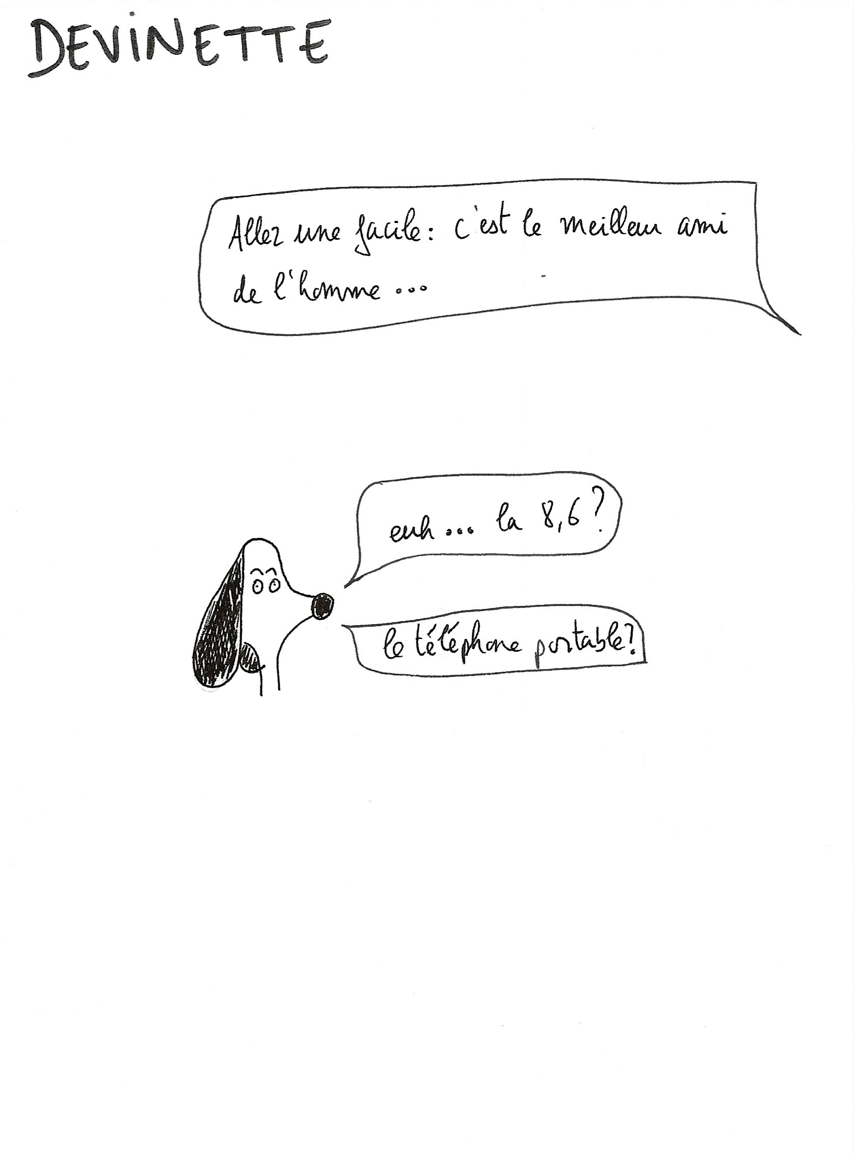 Projet chien